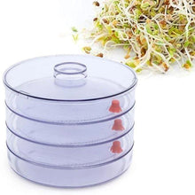 070 Plastic 4 Compartment Sprout Maker, White AEROKING OVERSEAS