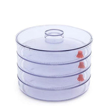 070 Plastic 4 Compartment Sprout Maker, White AEROKING OVERSEAS