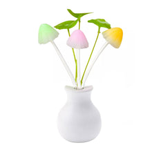 217 LED Dream Night Light, Auto ON/Off Sensor Mushroom Lamp (Multicolor) 