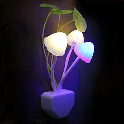 239 Night Light Mushroom Lamp (Colorful) 